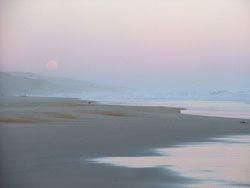 hotels in south africa