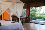 The Bush Lodge Patterson hotels south africa