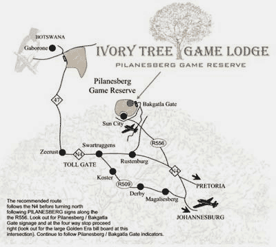 directions to ivory tree game lodge pilanesburg