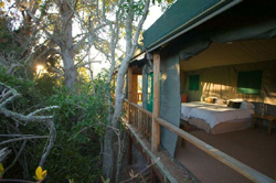 Buffalo Hills Game Reserve and Lodges