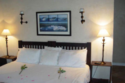 The Whaling Station Bed and Breakfast