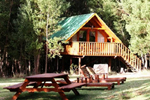 Treehouse Forest Lodge