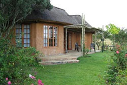 Wildthingz Lodge