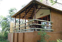 Wildthingz Lodge 