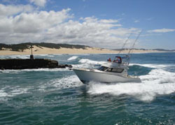 hotels in south africa