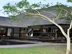 Nyathi Lodge