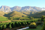 Olyfenbosch Cottages Places to stay in South Africa