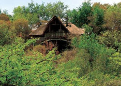 Tshukudu Bush Lodge