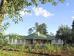 Sani Manor 