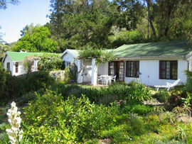 Welcome To Rushmere Farm Cottages Sedgefield South Africa Hotels