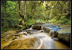 hotels in south africa