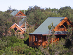 The Fernery Lodge and Chalets