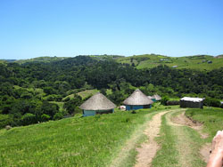 hotels in south africa