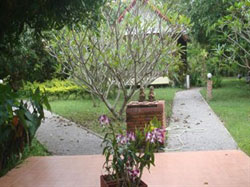 Thai Bamboo Resort
