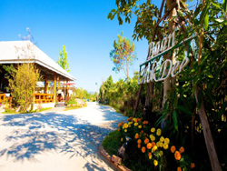 Baan Chokdee Pai Resort Pai