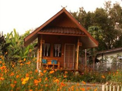 Lychee Garden Bungalow Pai