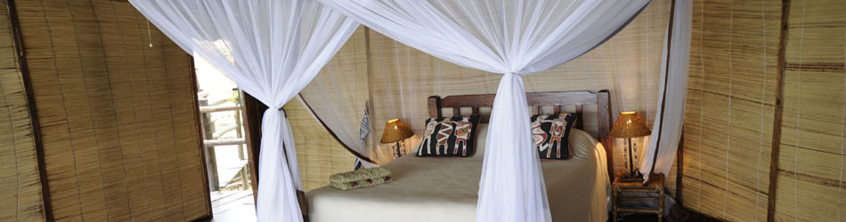 african_experience
