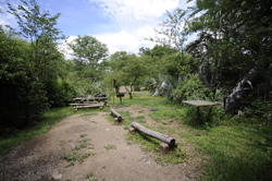 Camping site at Maramba River Lodge