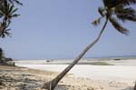 The Palms Zanzibar Island Beach Holiday