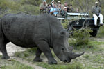 Kruger Park South Africa