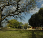 Kirkmans Kamp Sabi Sand South Africa Kruger Park