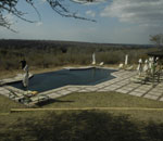 African Wildlife Safari Kruger Park South Africa