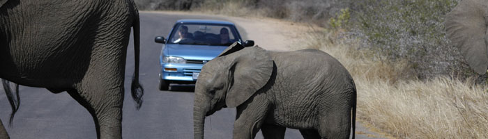 Africa and Indian Ocean Islands