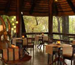 Sabi Sabi Little Bush Camp Sabi Sand South Africa Kruger Park