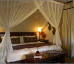 Sabi Sabi Little Bush Camp Sabi Sand South Africa Kruger Park