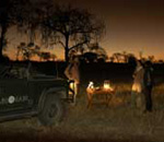 Sabi Sabi Little Bush Camp Sabi Sand South Africa Kruger Park