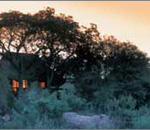 Sabi Sabi Little Bush Camp Sabi Sand South Africa Kruger Park