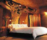 Sabi Sabi Earth Lodge Sabi Sand South Africa Kruger Park