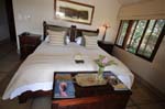 Savanna Lodge Sabi Sand South Africa Kruger Park