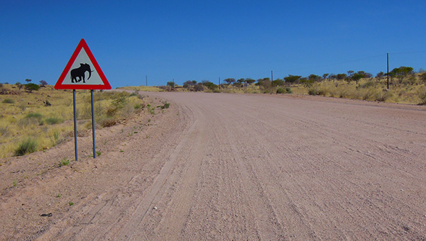 Elephant warning road sign