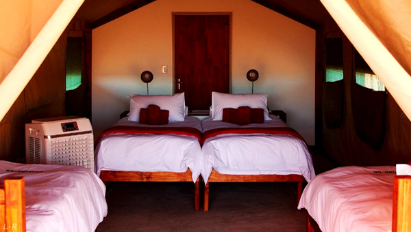 Picture taken at Kalahari Camping 2go Mariental Namibia