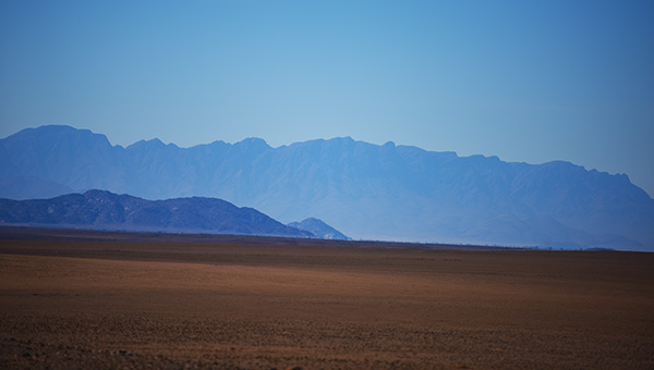Dune ridges in the Namib at low sun