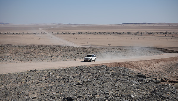 A long straight gravel road in Namibia with a dust plume behind a distant car