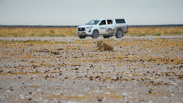 Planning a Namibia road trip with a map