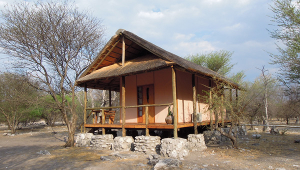 Picture taken at Thakadu River Camp Ghanzi Botswana