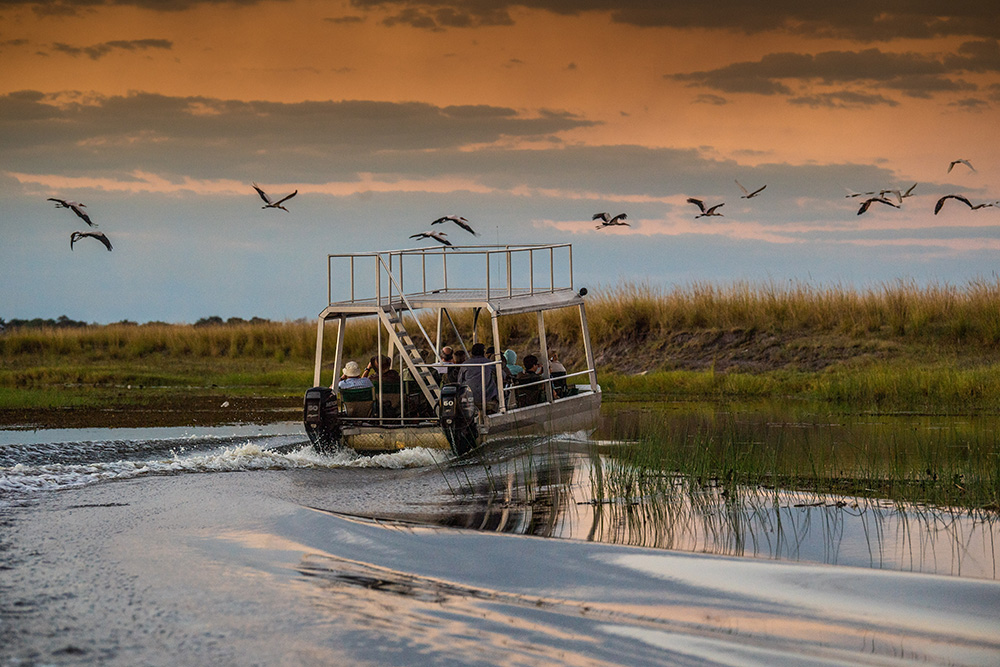 A hippo in the river at sunset in Namibia's Zambezi Region