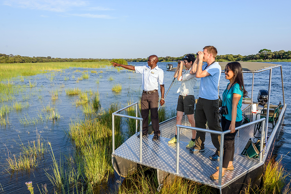 Bird spotting on the Kavango River Namibia