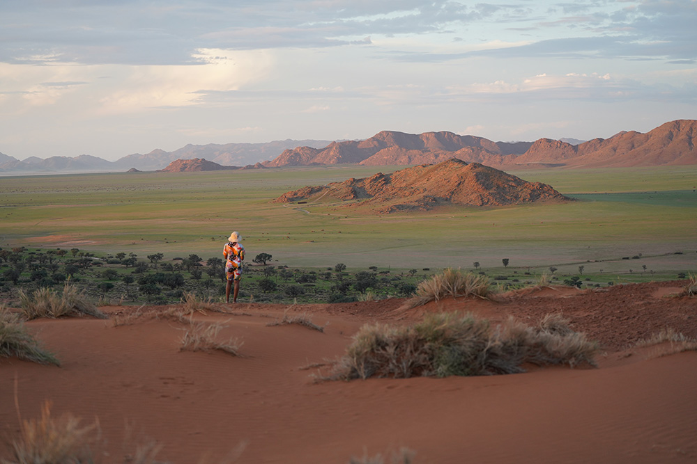 Namib Desert in the green season