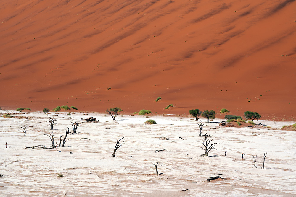 Deadvlei Namibia