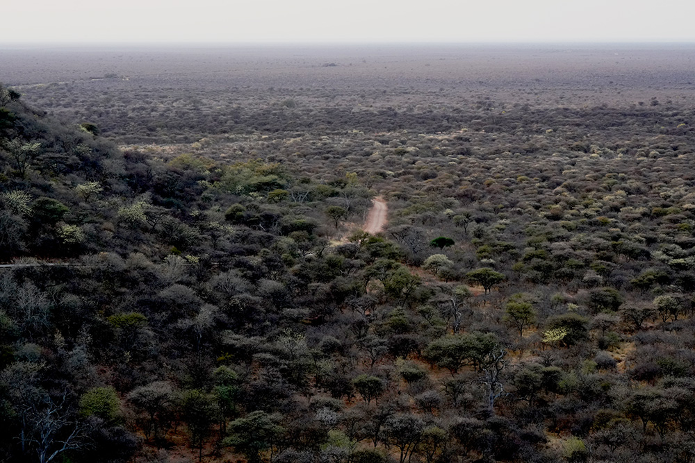 The red sandstone cliffs of the Waterberg Plateau above green bushveld