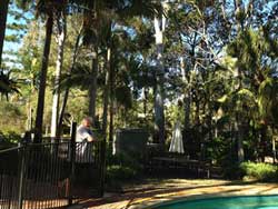 Forest Lodge Apartments