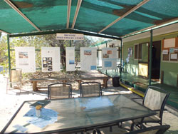 Broome Bird Observatory