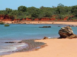 Broome Bird Observatory