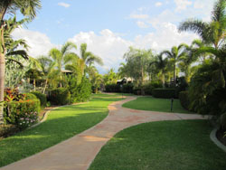 Cocos Beach Bungalows