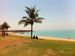 Cocos Beach Bungalows