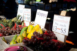 Aaman and Cinta Villas